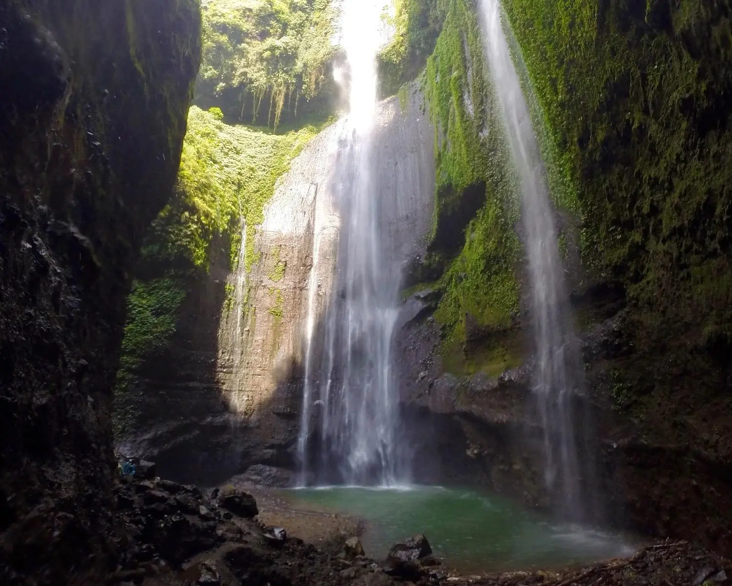 Private Kurztour "Ost-Javas Naturhighlights"