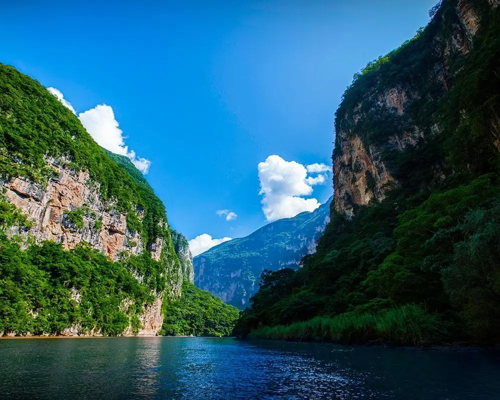 YAXCHITLAN CLASICO (CVU)