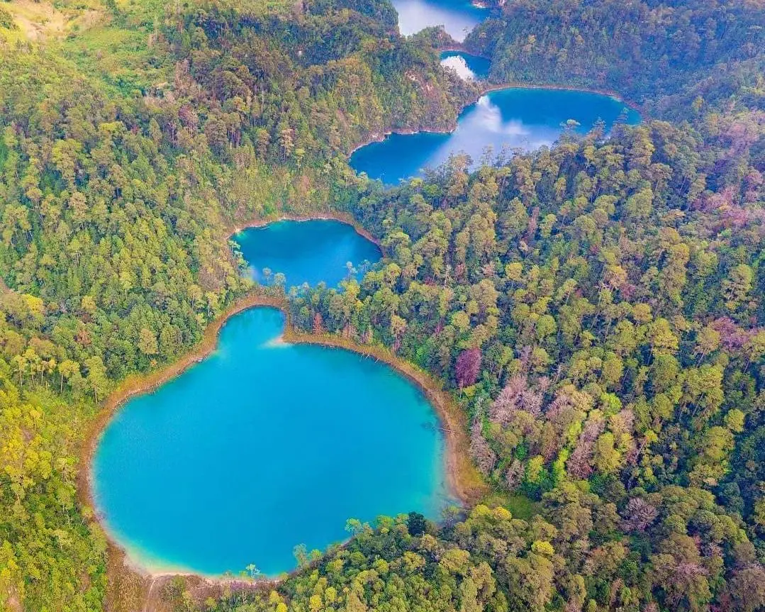 YAXCHITLAN CLASICO (CVU)