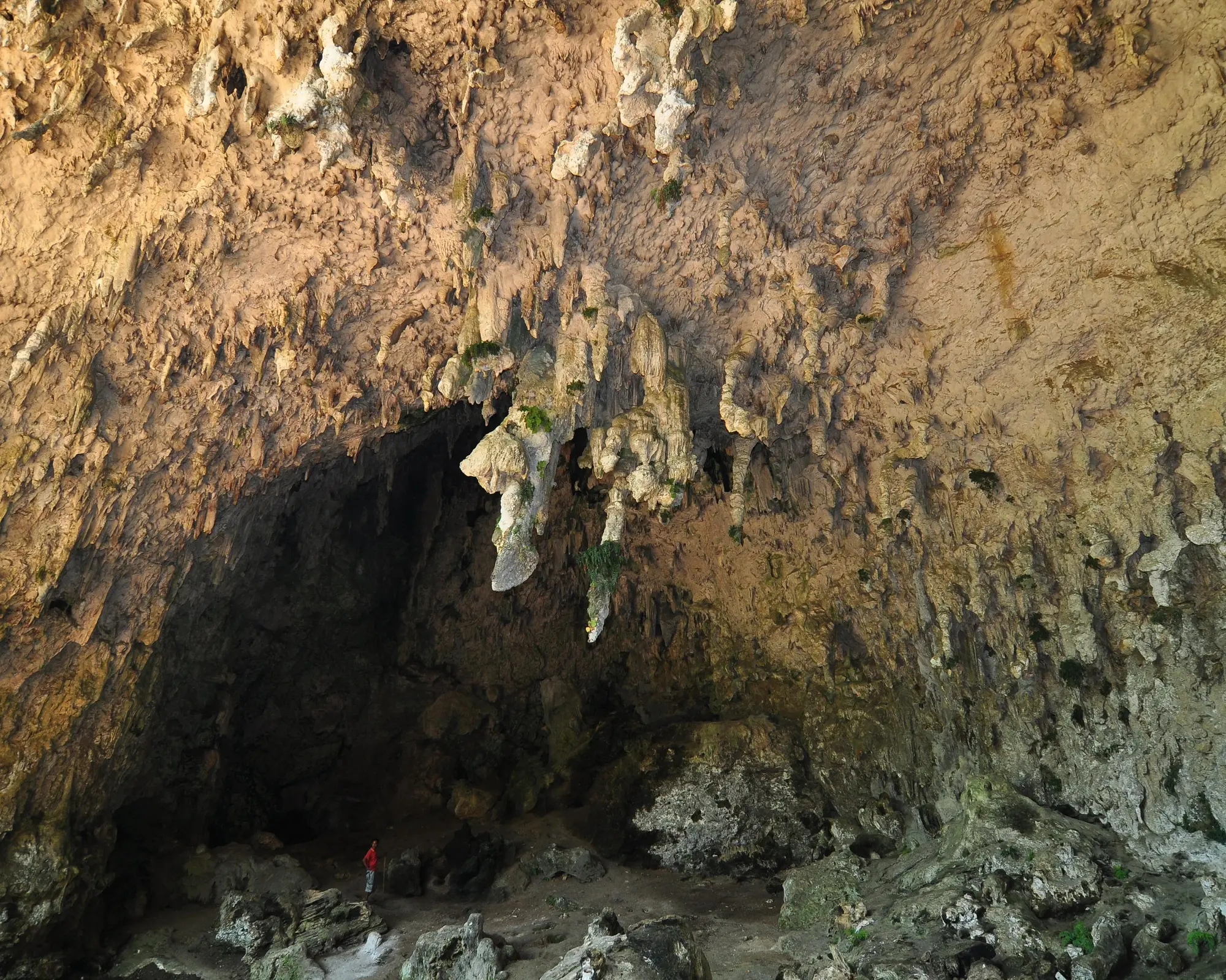 Privatrundreise "Exotisches Flores, Rinca, Komodo"