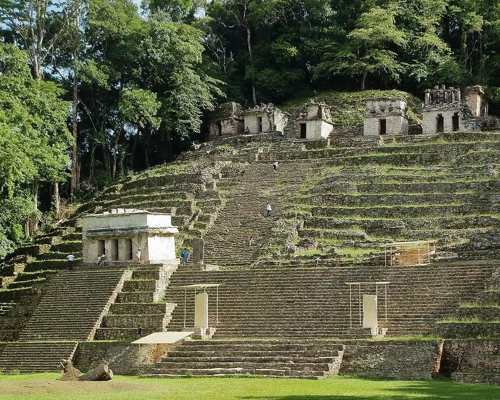 LACANDONA CLASICO (CVU)