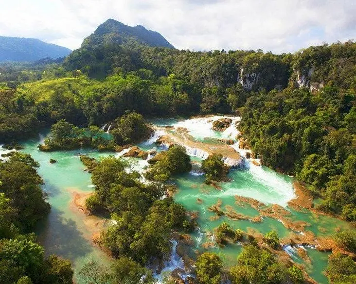 LACANDONA CLASICO (CVU)