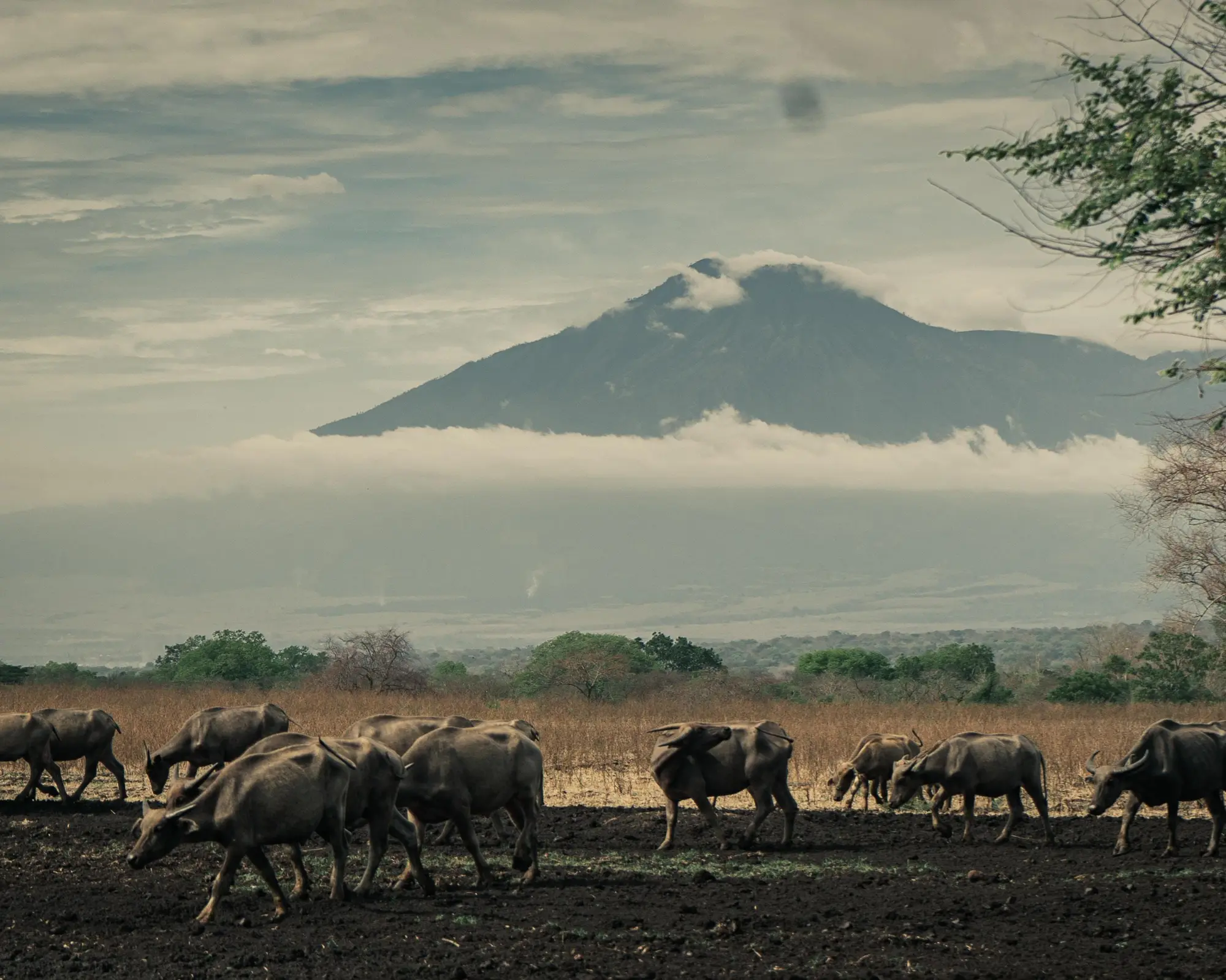 Private Kurztour "Westbali & Ostjava"