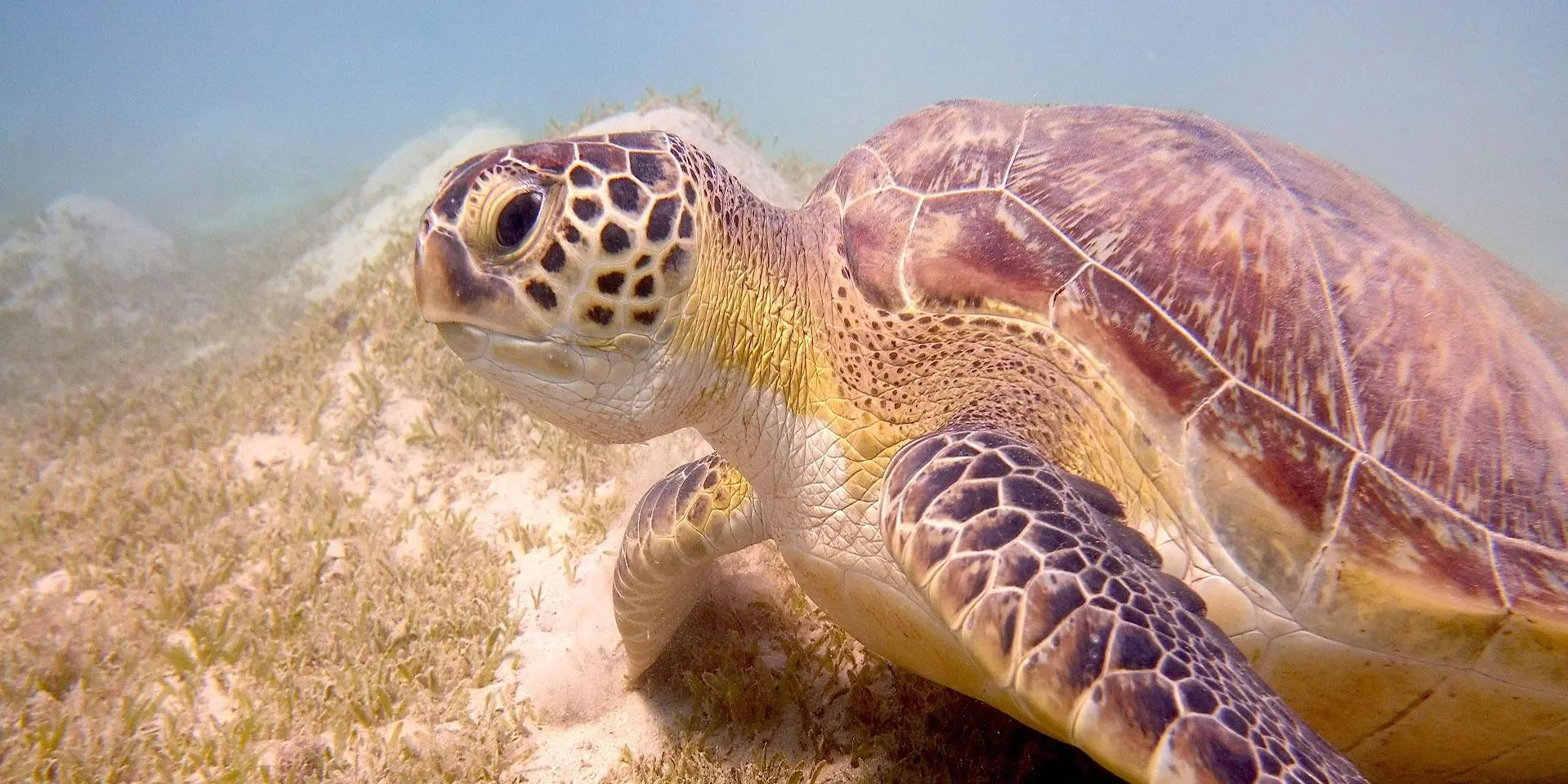 Jour 2 à 7 : Hurghada