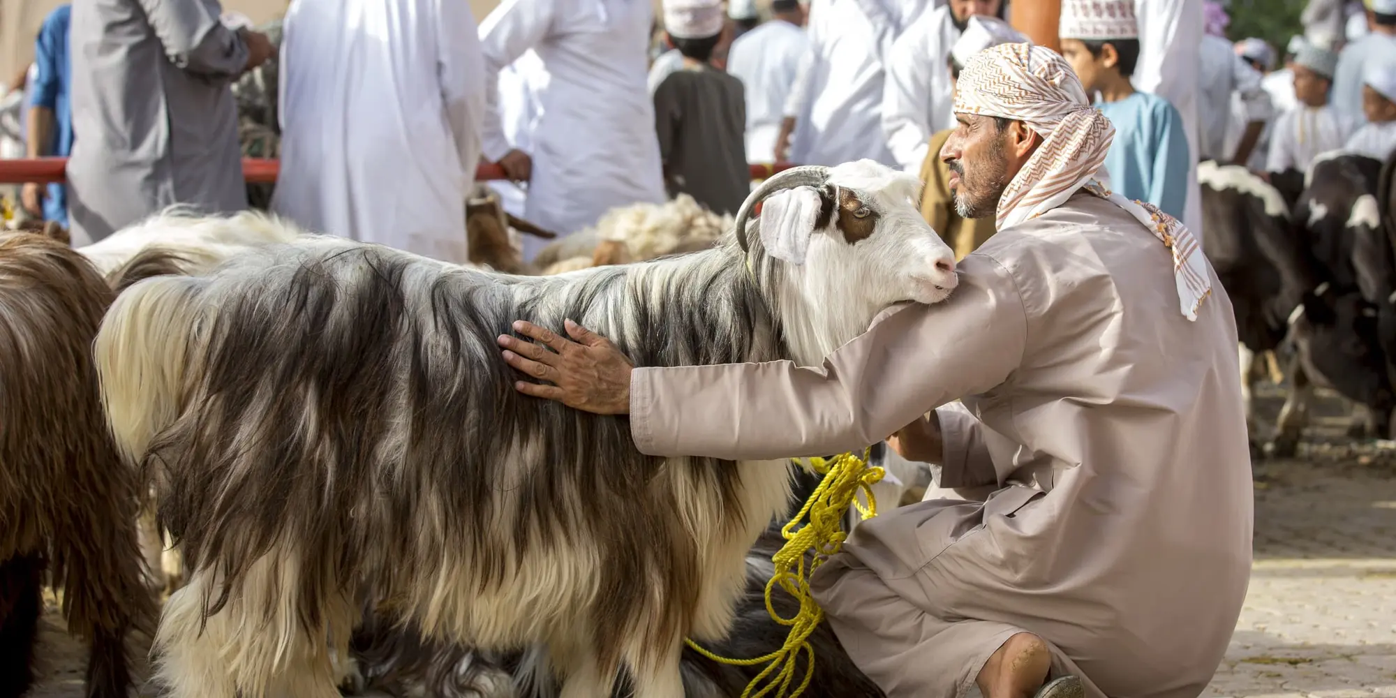 DAY 05 | NIZWA – JABAL AKDHAR – NIZWA (4WD) (1.5 hrs. drive – both ways) ​