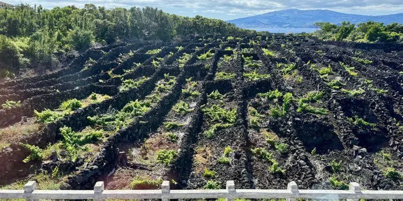 ISOLA DI PICO
