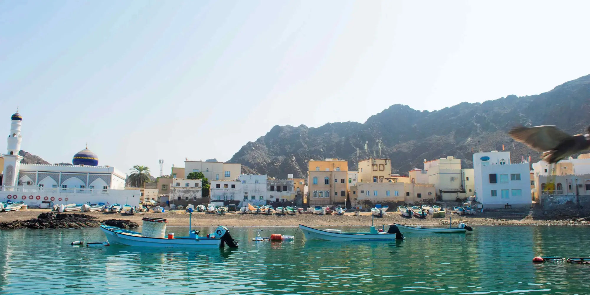 Day 02: Muscat