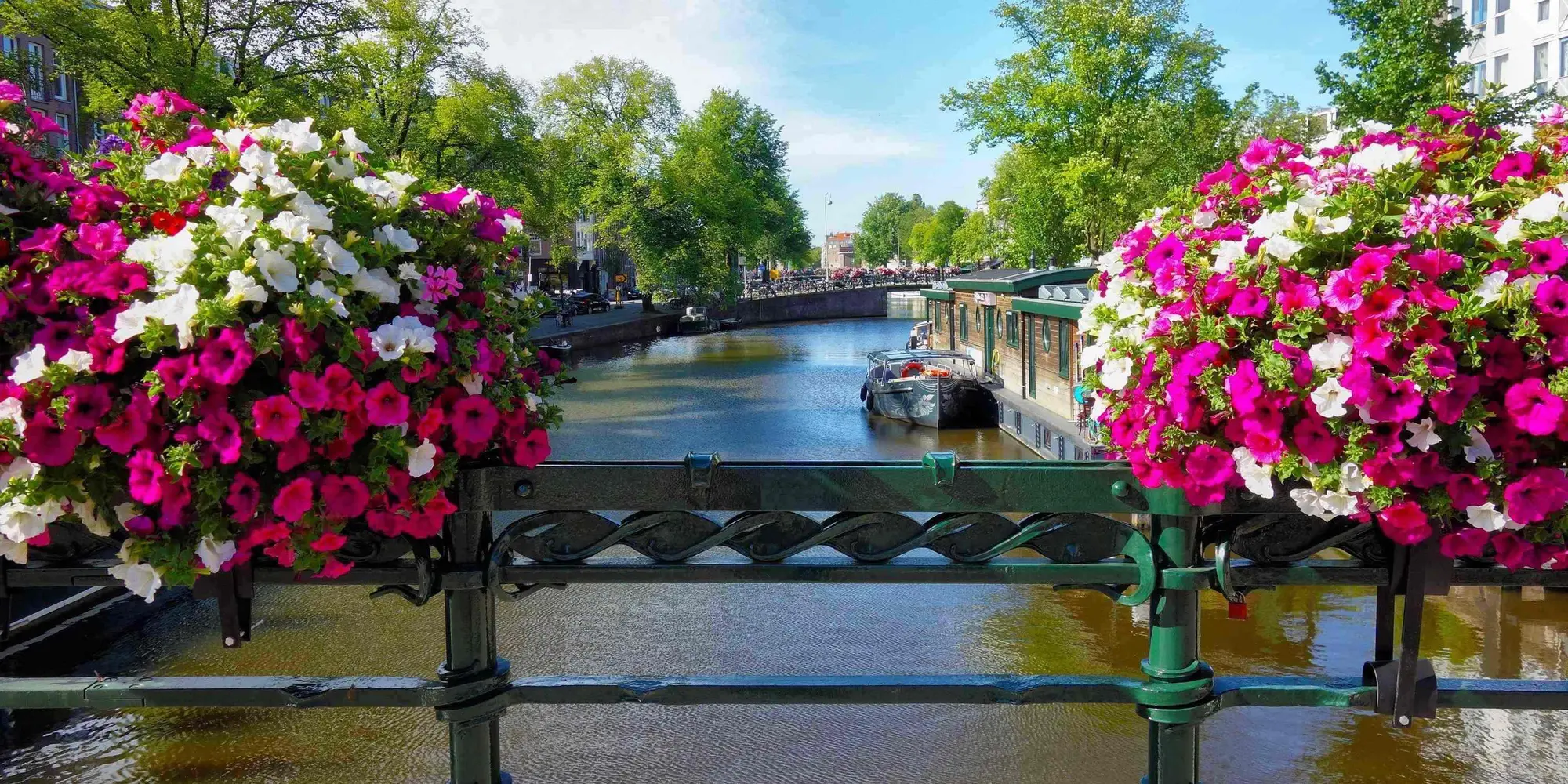 GIORNO 7: AMSTERDAM