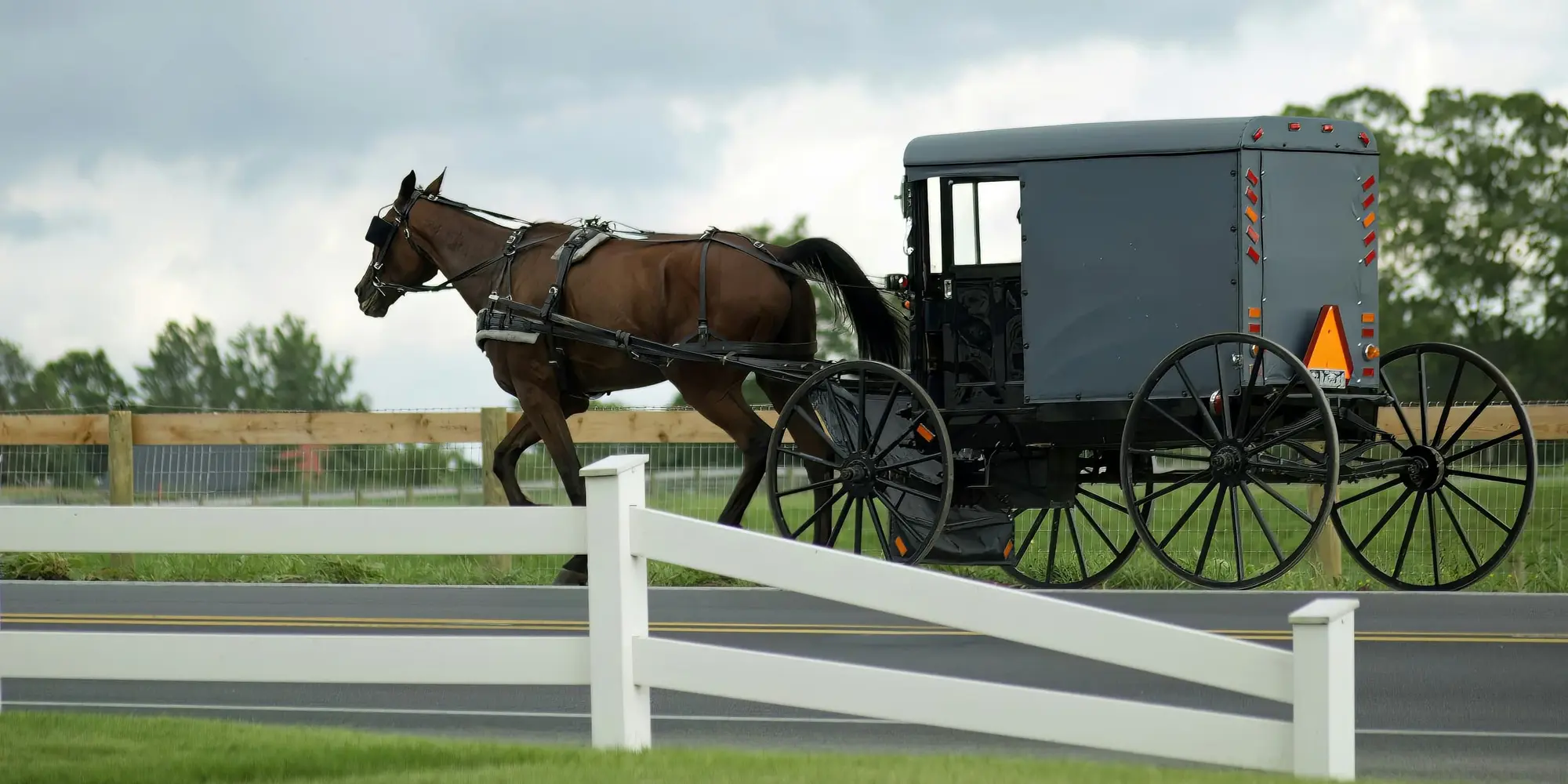 5° giorno - West Chester -  Lancaster - Amish Country - Washington D.C./ Arlington