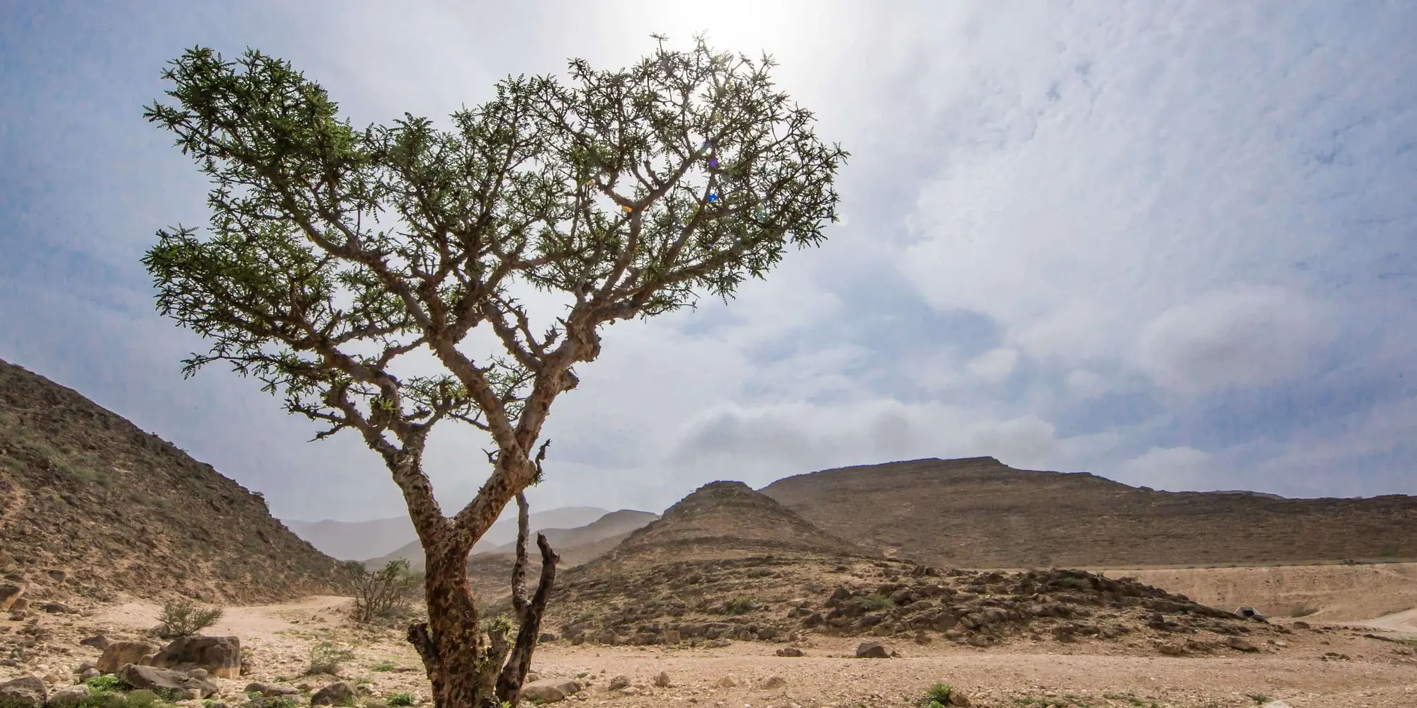 DAY 10 | IN SALALAH​