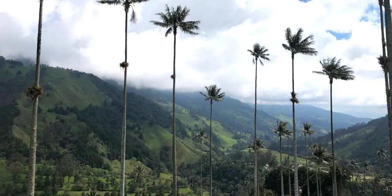 Day 6. Pereira - Free day