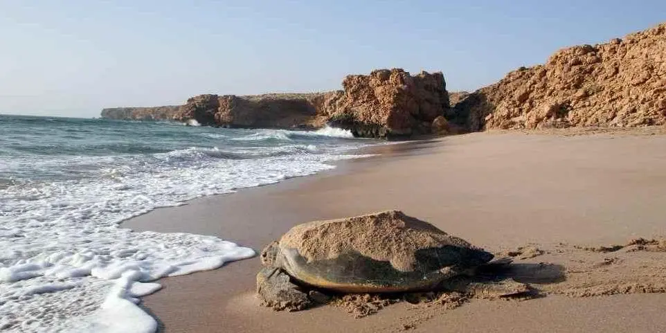 DAY 07: WAHIBA SANDS – RAS AL HADD