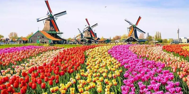 DAY 10 • BRUSSELS - ROTTERDAM - THE HAGUE - AMSTERDAM