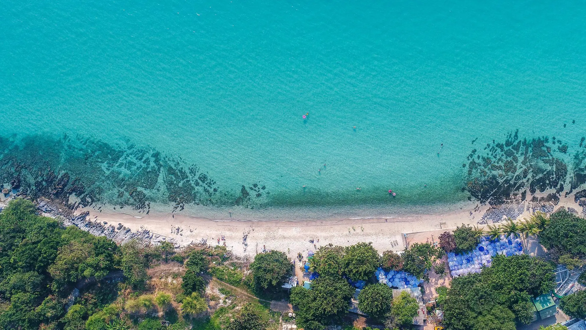 Macchia mediterranea, acqua cristinallina