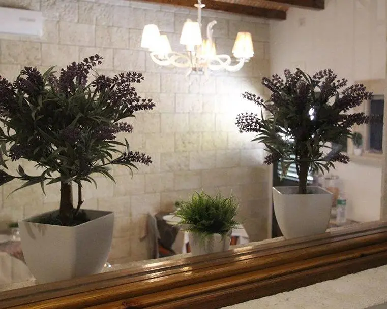 B&B Vicolo del Porto, 