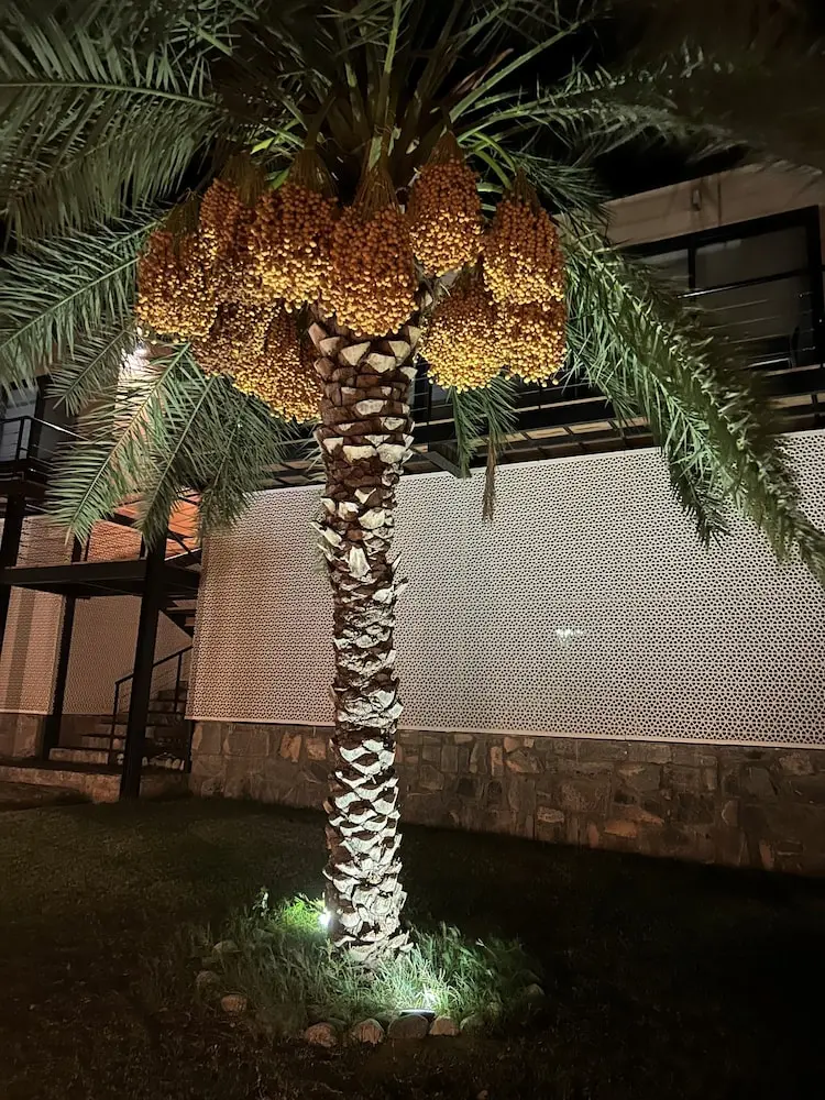 The View, Front of property