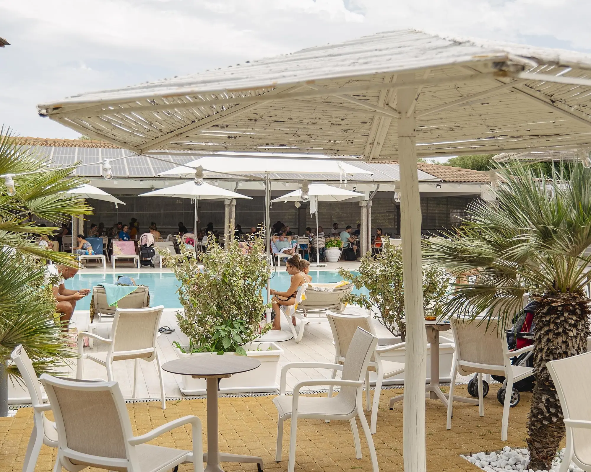 Amareclub Le Rose, 
