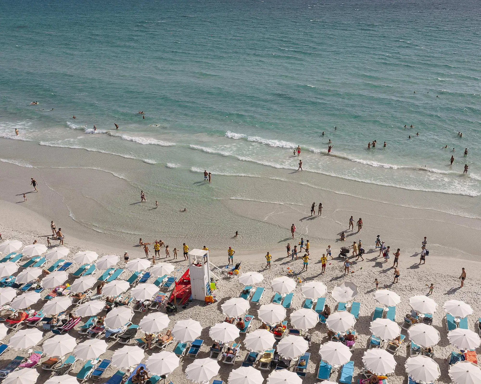 Amareclub Le Rose, 