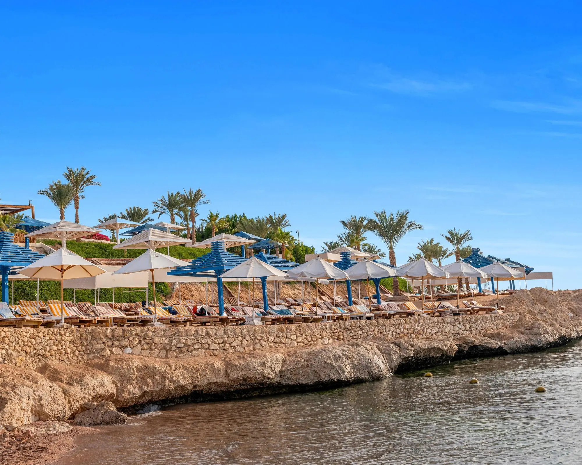 Grand Oasis 2025 - GATTINONI, 
