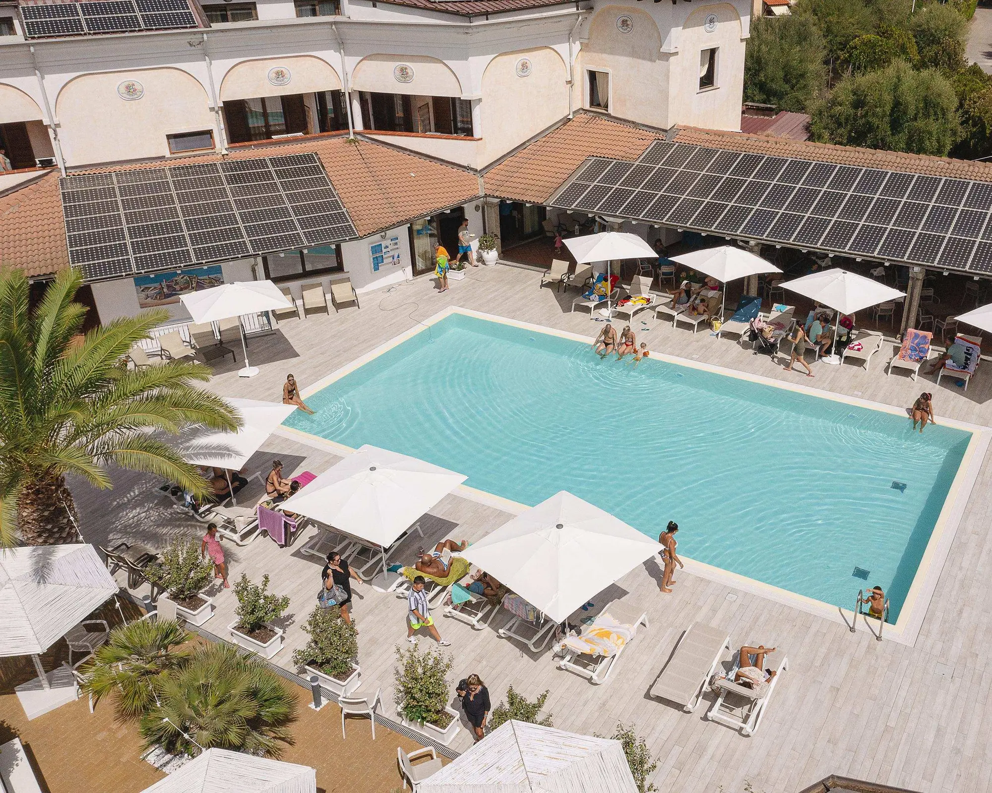 Amareclub Le Rose, 