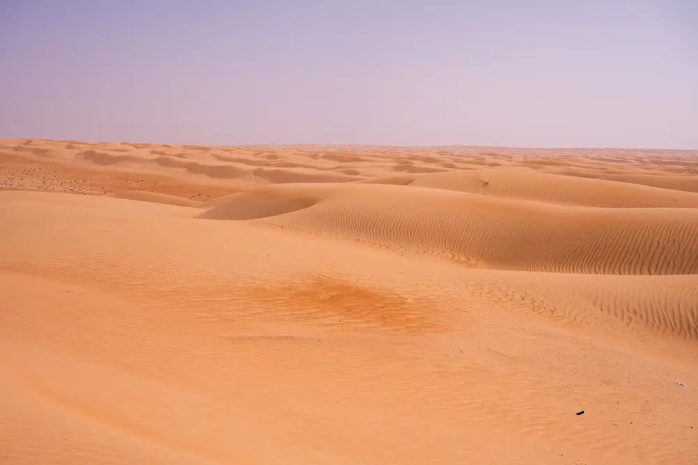 Arabian Nights Resort & Spa, Desert view