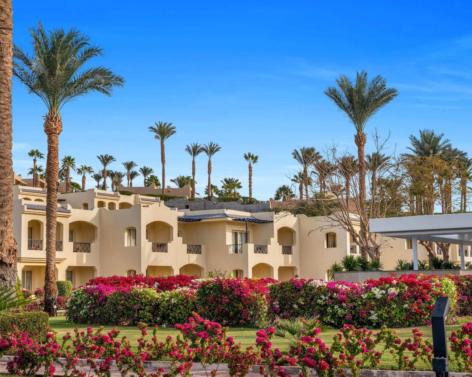 Grand Oasis 2025 - GATTINONI, 