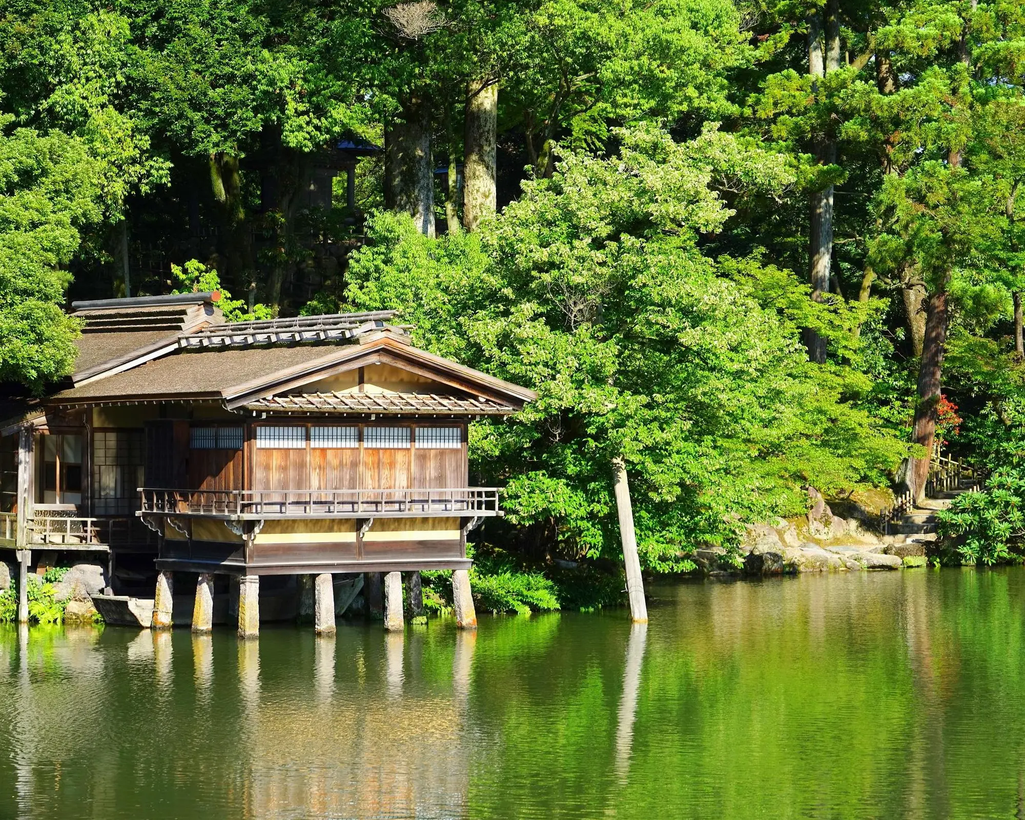 I Colori del Giappone