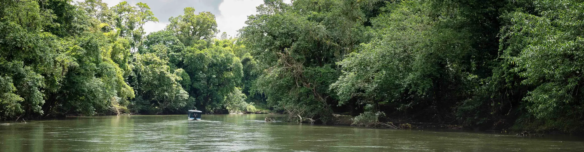 Foresta pluviale di Sarapiquí, Costa Rica