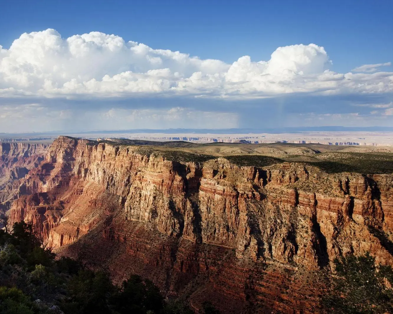 Grand Canyon AZ, United States of America