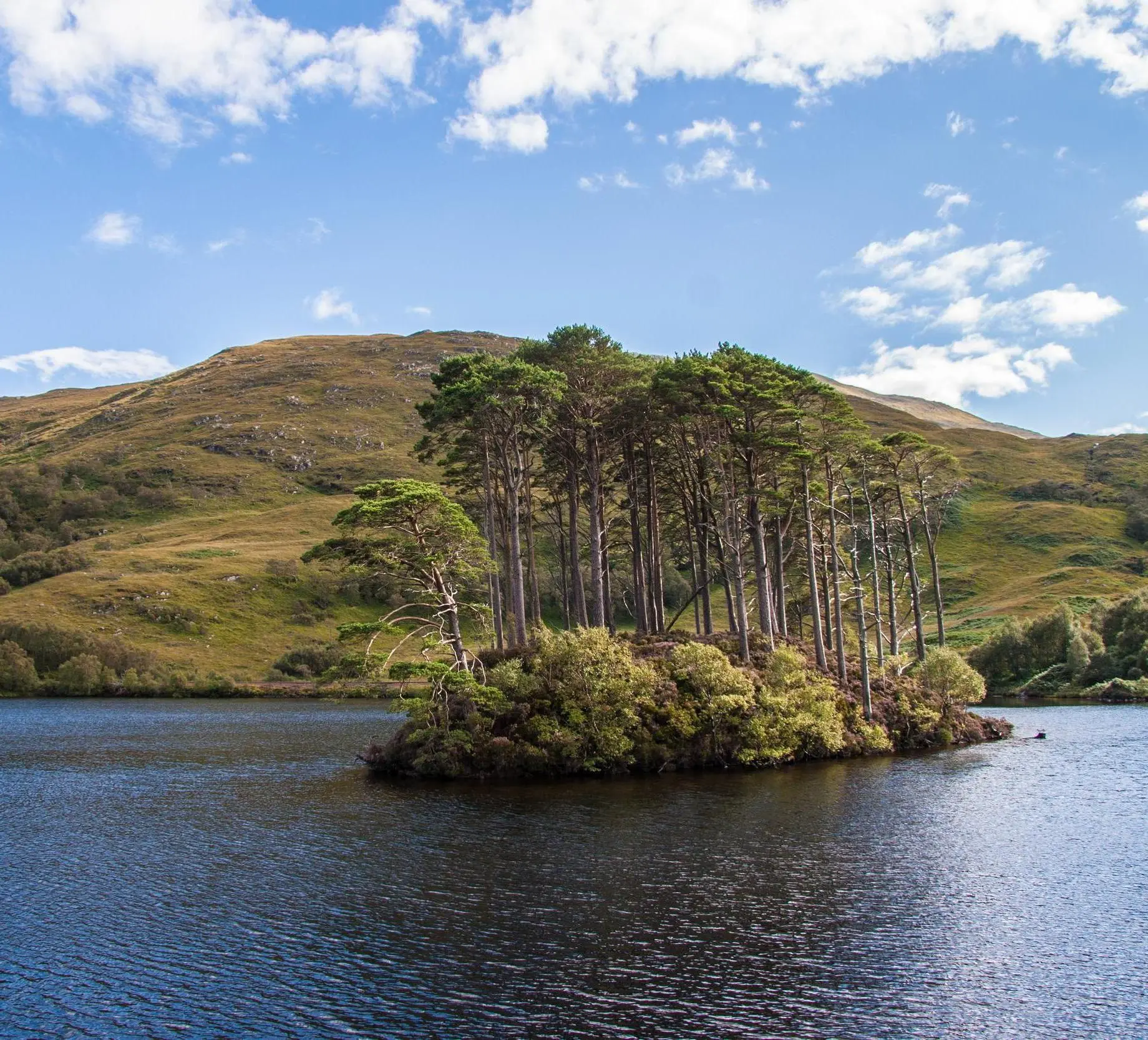 ロッカイロート, 英国
