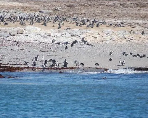 Namibie en V.O. & Extension Fish River - HORS VOLS