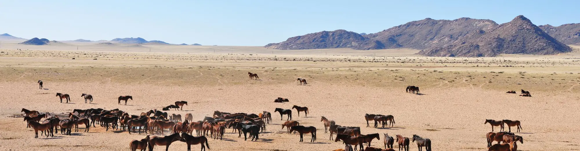 Aus Namibia, Namibia