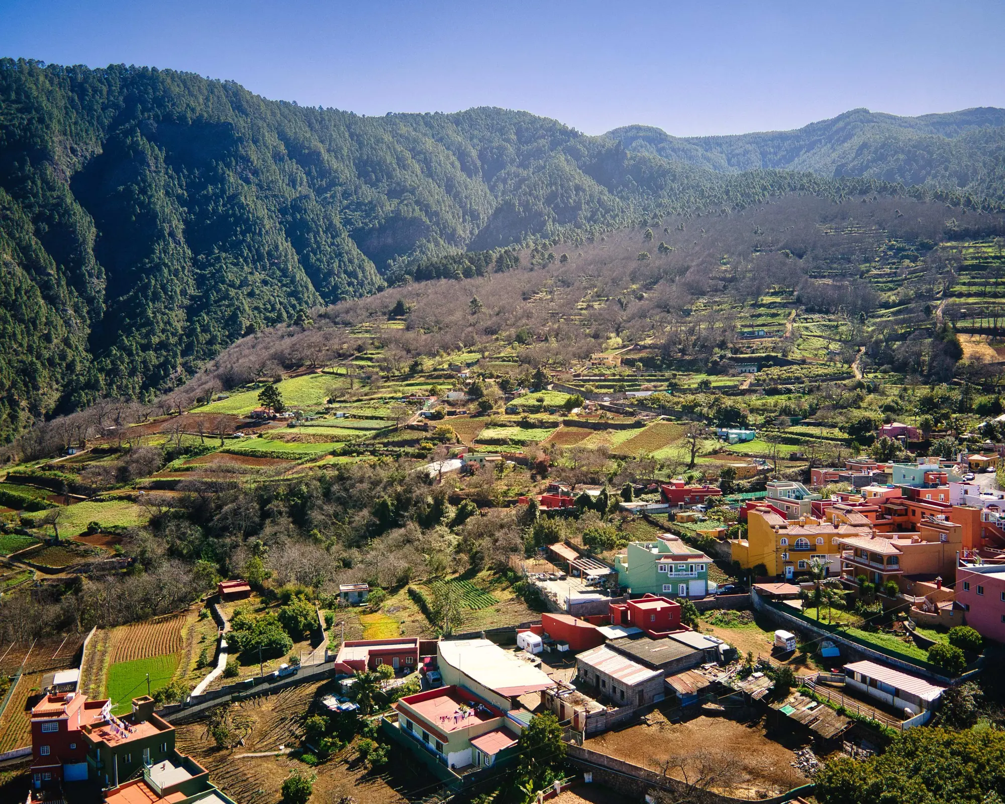 A la découverte des Iles Canaries