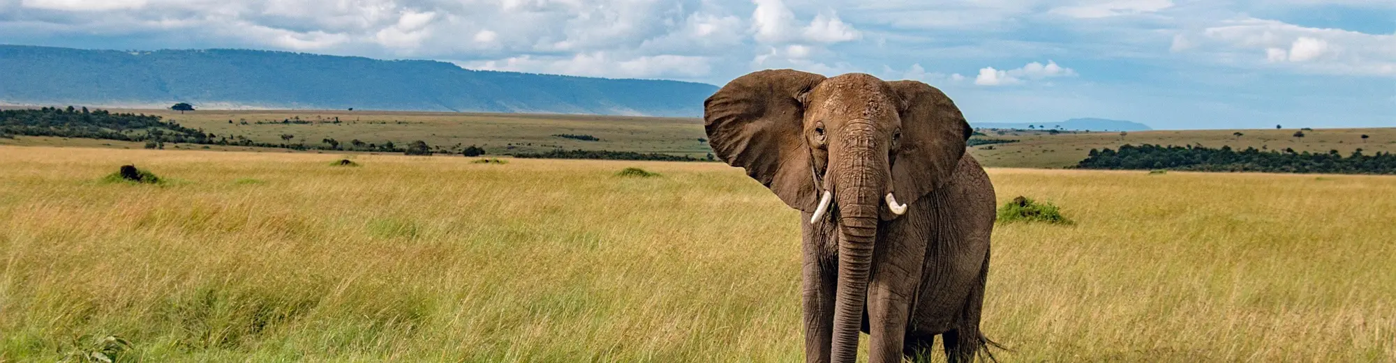 Watamu, Kenia