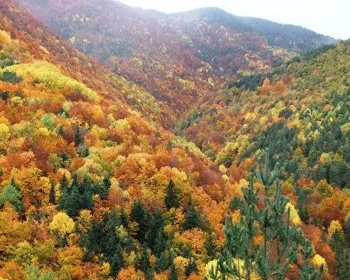 Pirineo Aragones, Spain