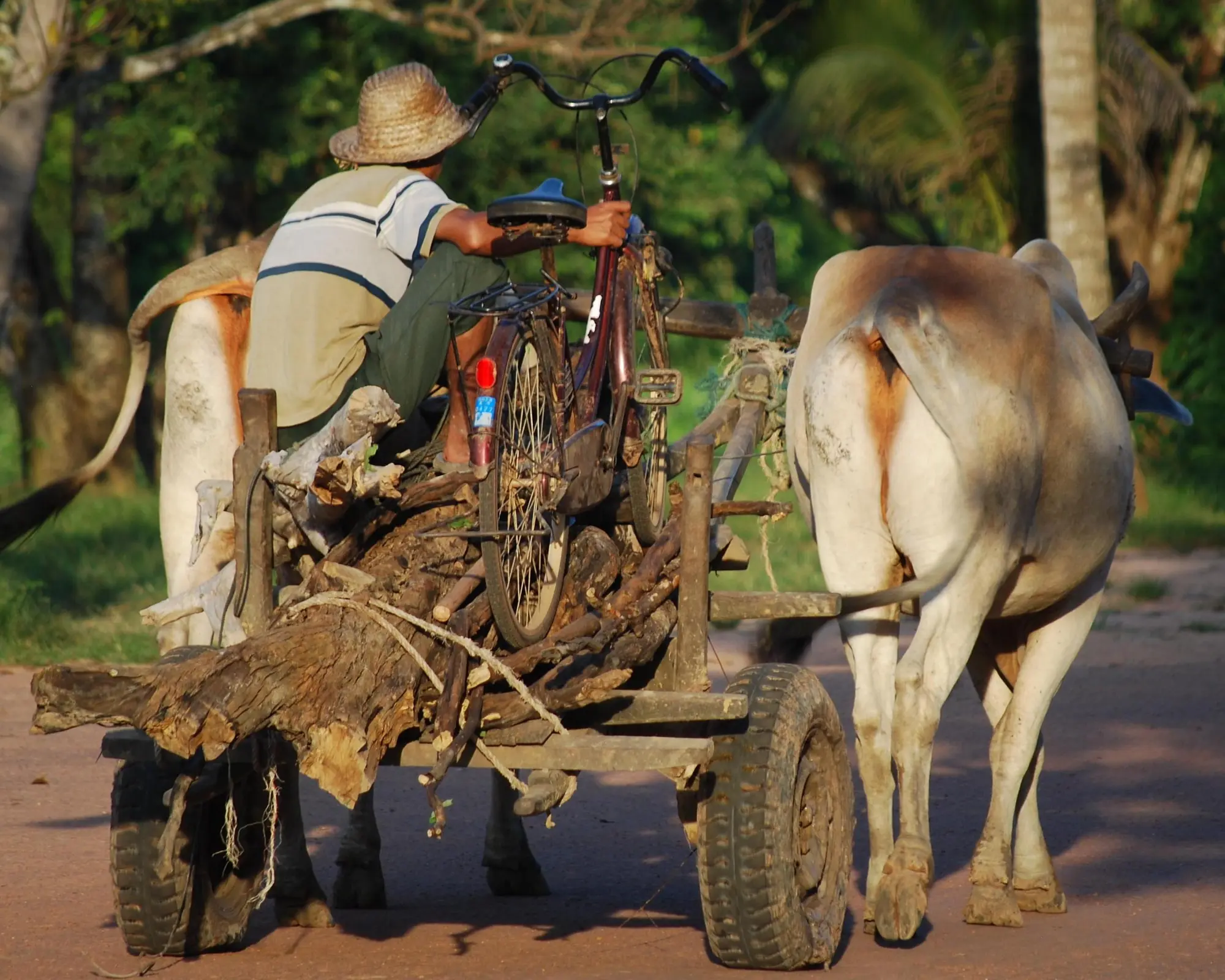 Pursat, Cambodia