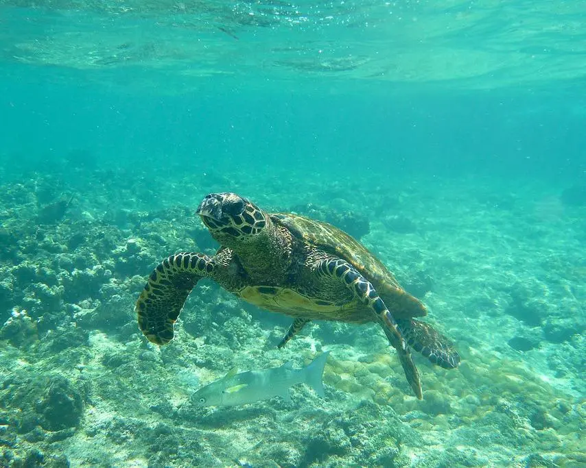 Felicité Island, Seychelles