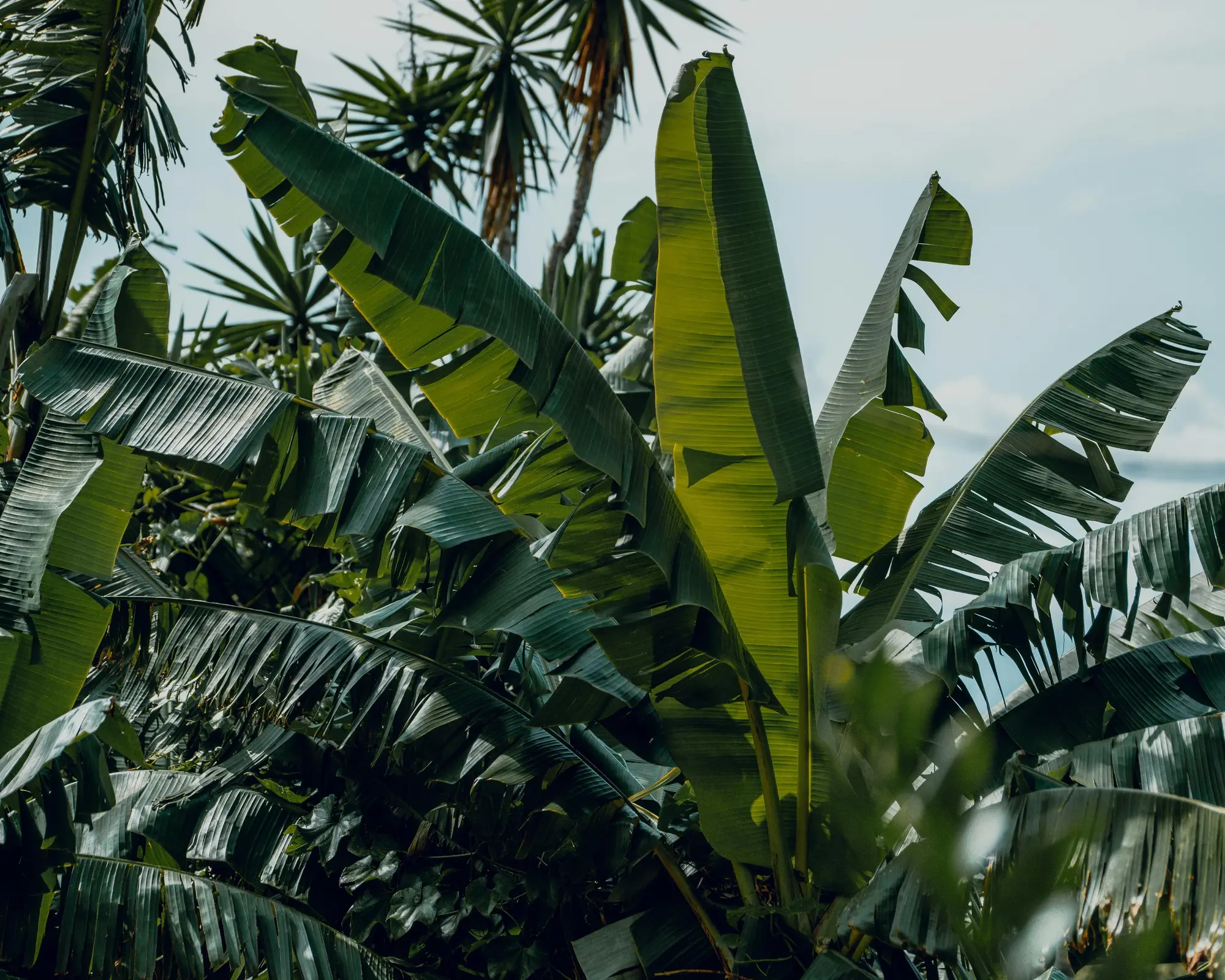 Golfito, Costa Rica