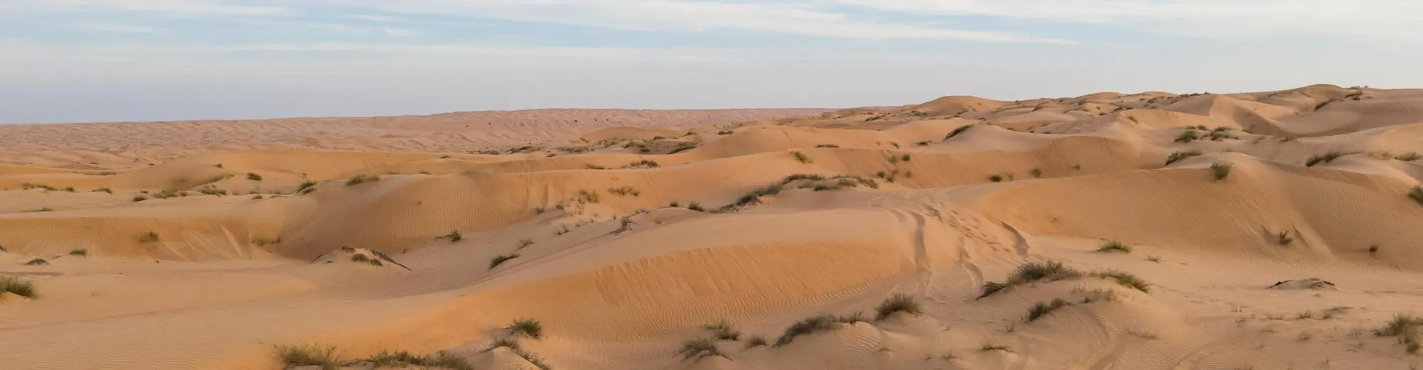 A'Sharqiyah Sands, 阿曼