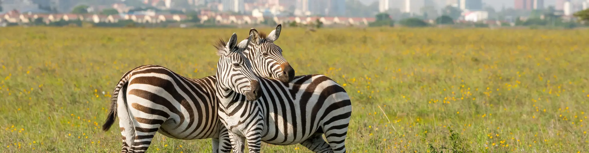 Parque Nacional de Nairobi, Kenia
