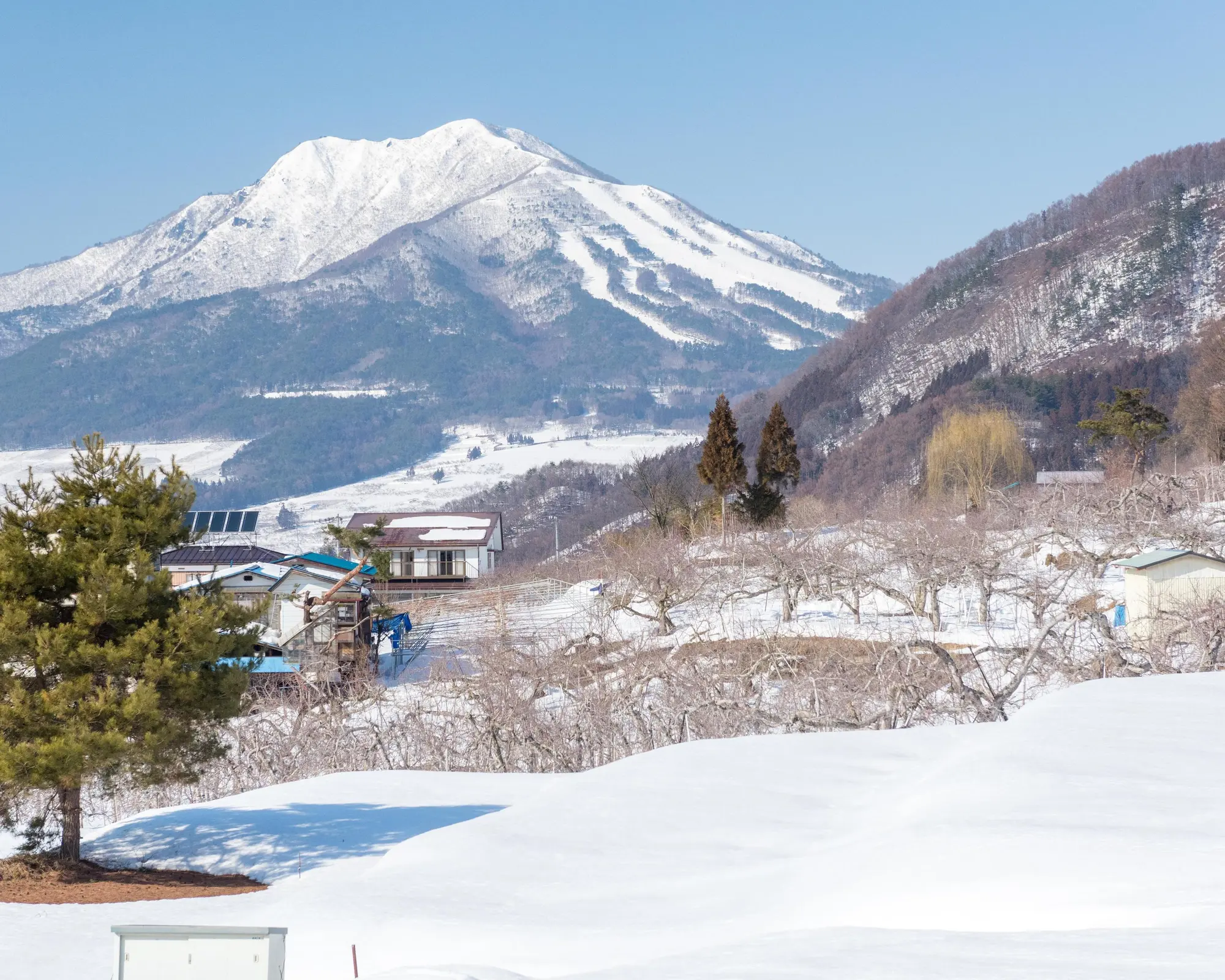 Yudanaka, Japan