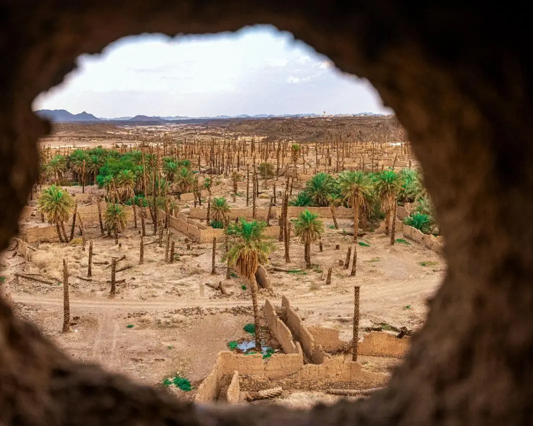 هایل, عربستان سعودی
