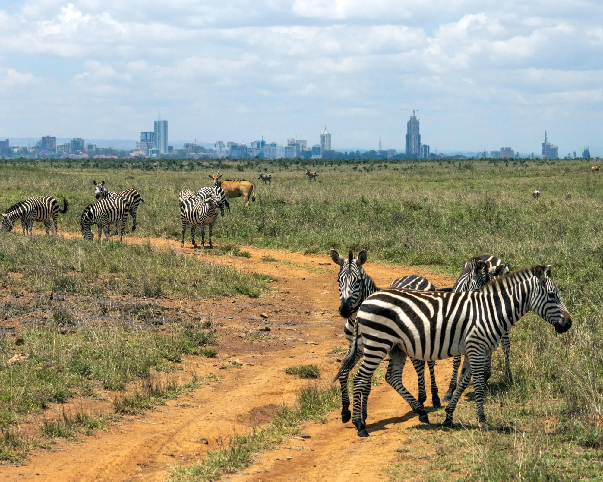 Parque Nacional de Nairobi, Kenia