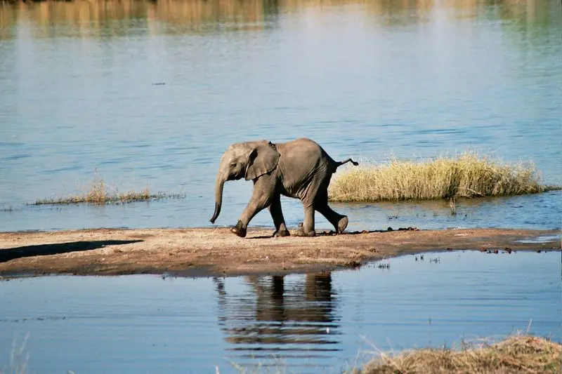 Victoria Falls e Retiro no Botswana