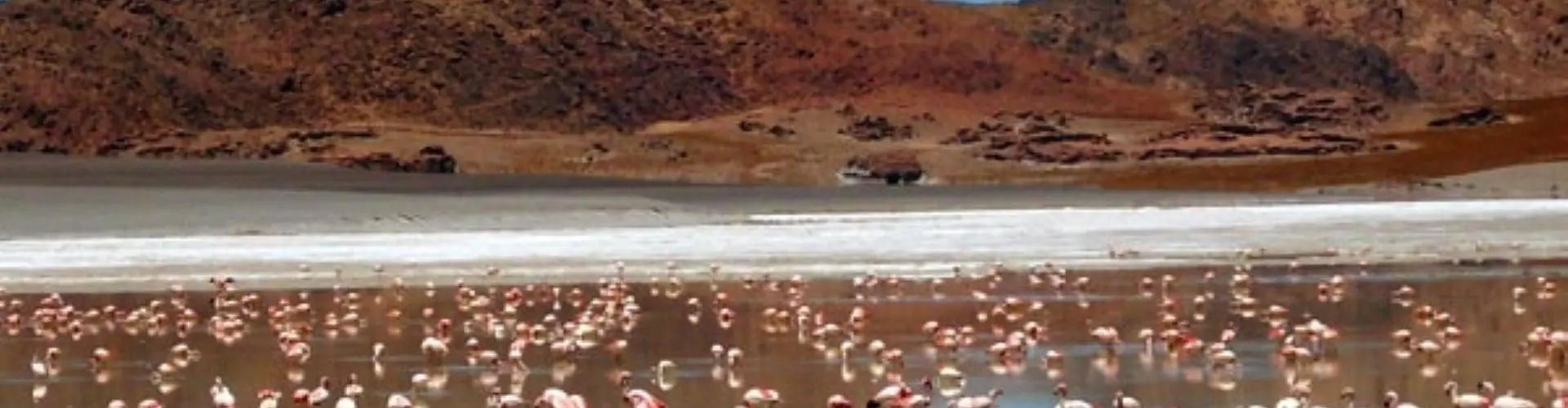 Antofagasta de las Sierras, Arjantin