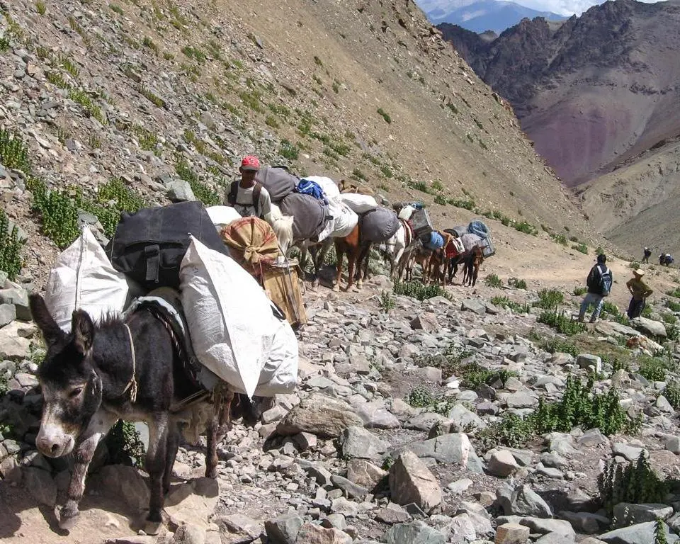 Сток Кангри, Непал