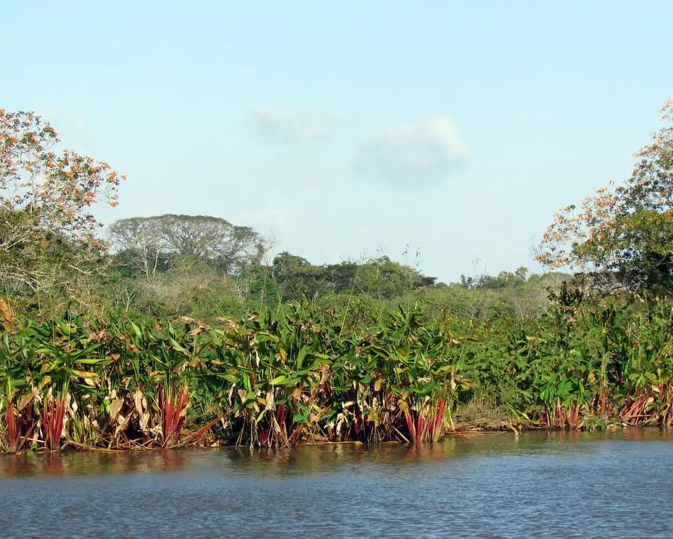 Rendez-vous au Costa Rica + Ext Tortuguero