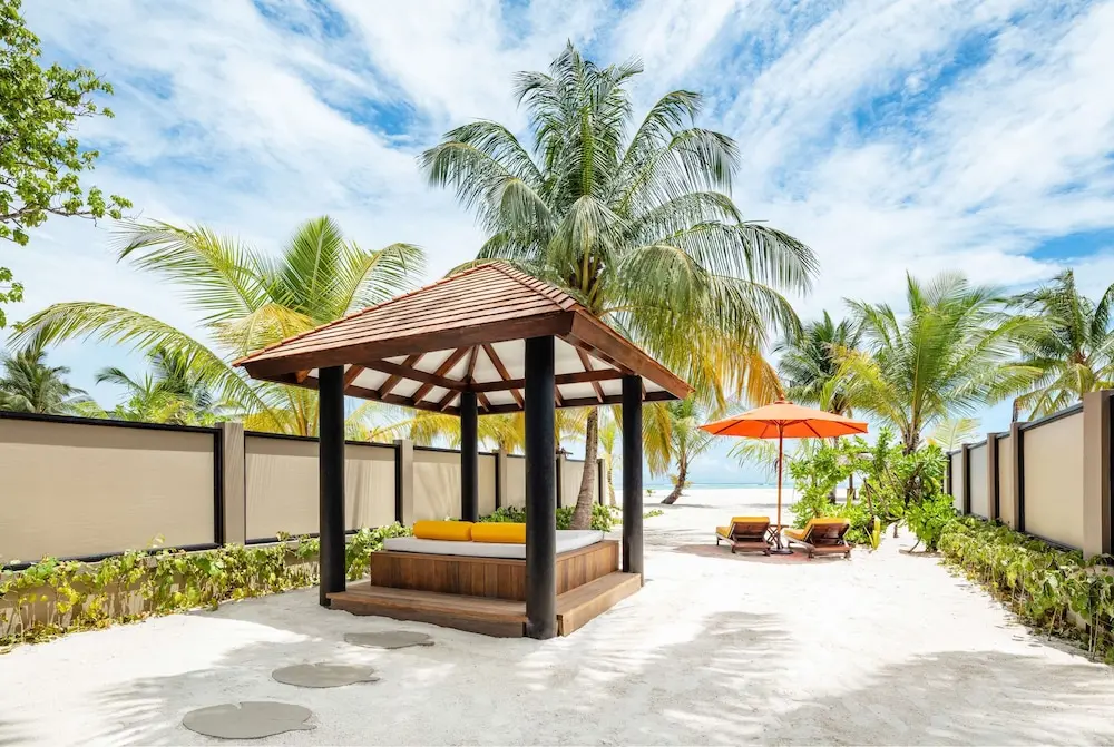 新品未開封日本未発売Michael Friedel Maldives モルディブ Amazon.co.jp: Maldives: The Very Best of Michael Friedel : 本