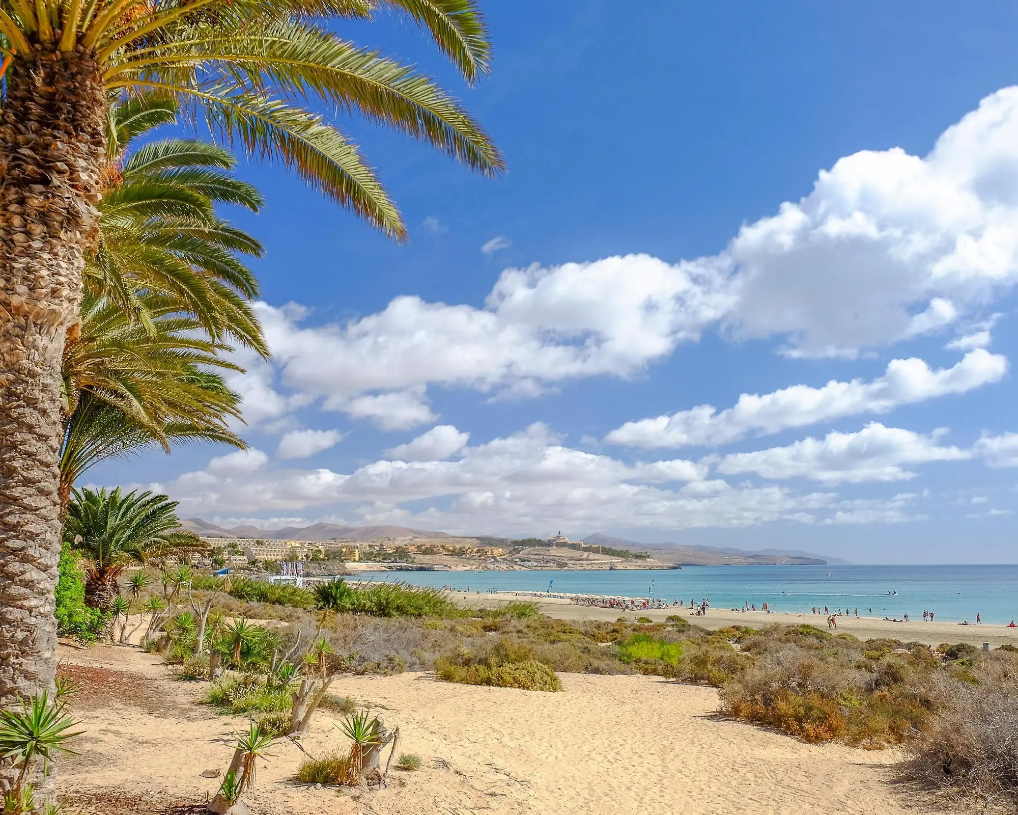 Utc travel Costa Calma Fuerteventura