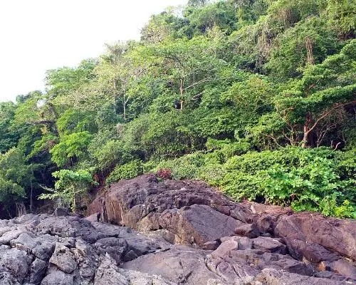 KohChangページ travel 📍Address: koh chang | Trip.com Koh Chang